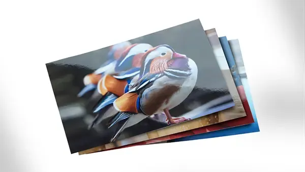 Stampa foto classiche formato 10x15, 12x16, 15x20